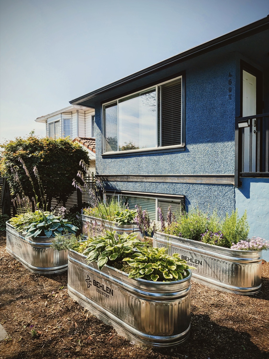 Galvanized raised planters