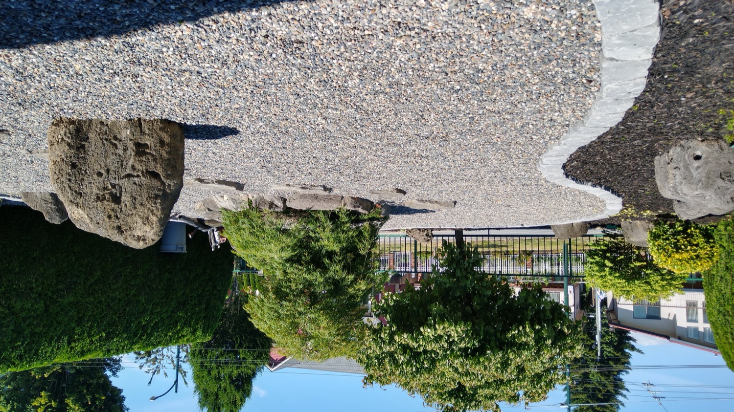 Mature garden & rock path