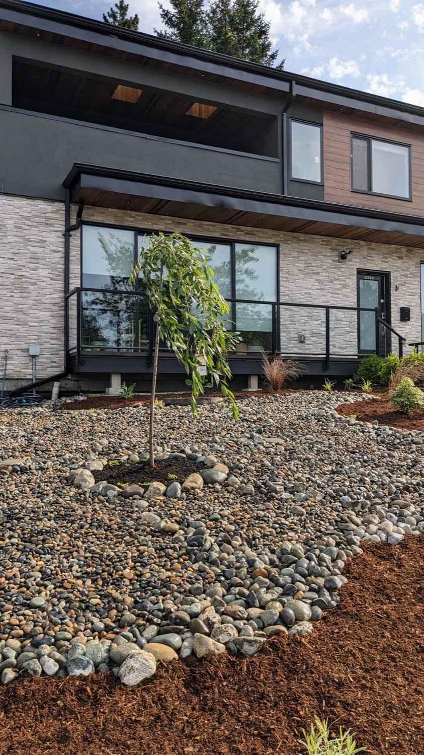 Modern-home rock garden