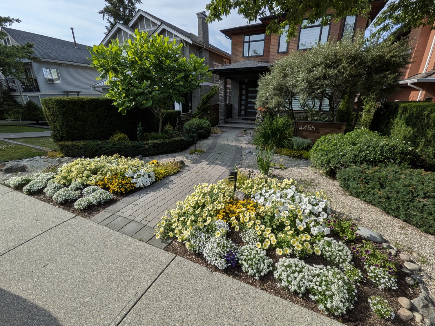 Full perennial front garden