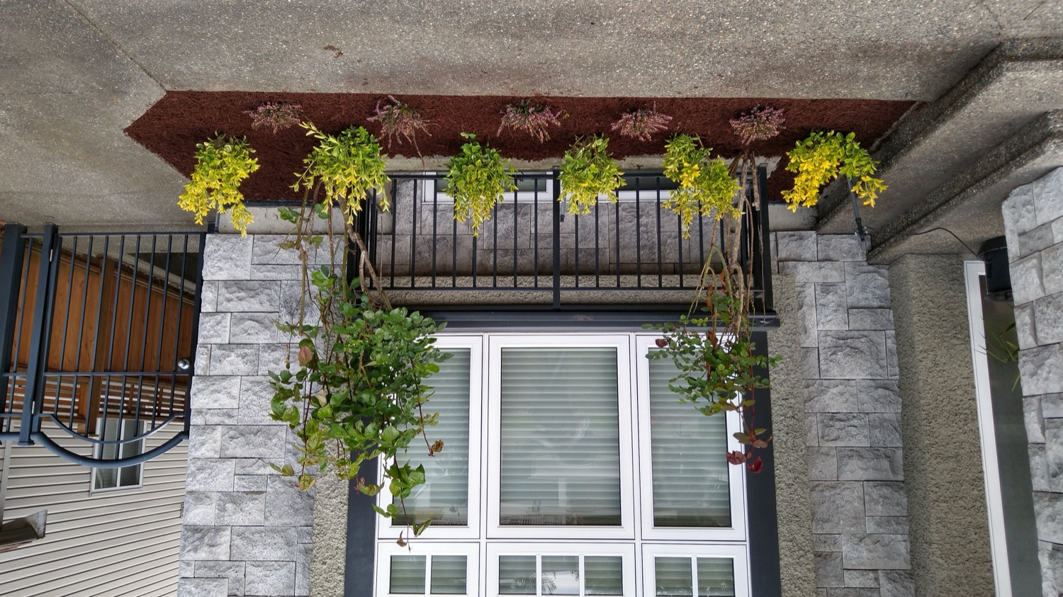 Stone-facade frontage planting